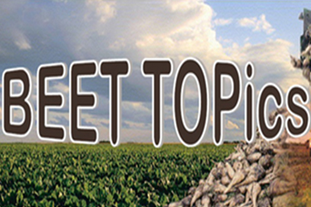 Beet Topics